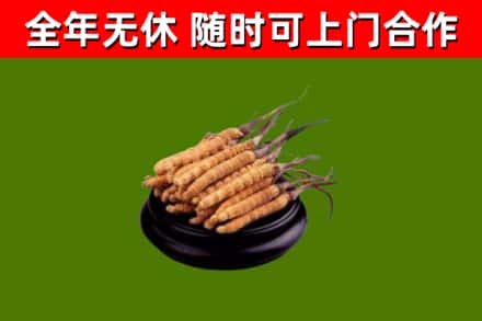 颍泉烟酒回收冬虫夏草.jpg